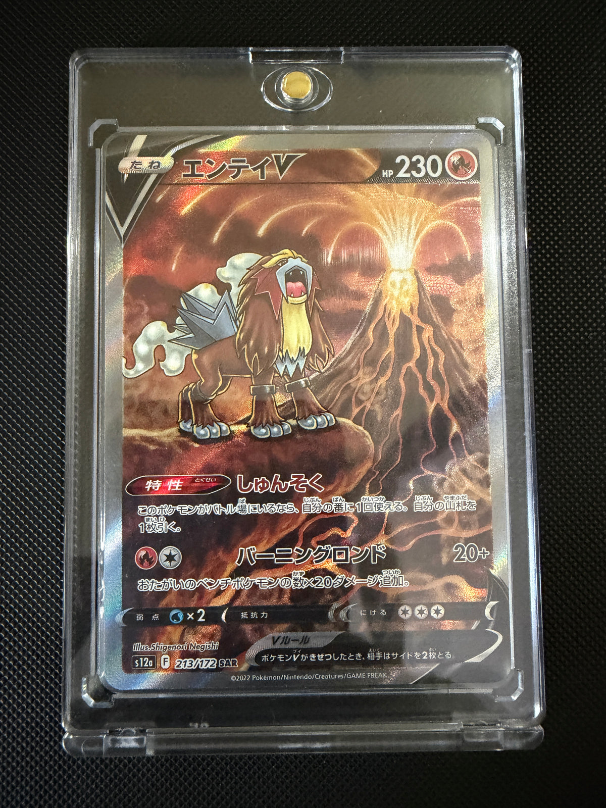 Entei V - VSTAR Universe - 213/172 - SAR - Japanese